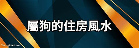 屬狗適合的方位|【屬狗 方位】屬狗者必看！最強方位指南：買房、住樓層全攻略